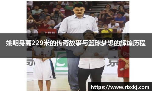 NG大舞台官网